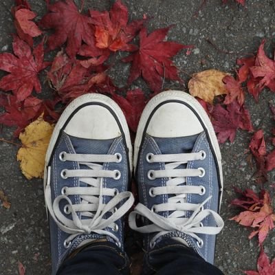 rikaikah's profile picture. -