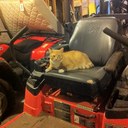 Hampton Brown - @hamptonmeow - Twitter