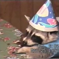 Hardy (@hardy1wow) 's Twitter Profile