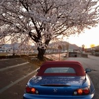 かもしか (@oheofh98bplvb4t) 's Twitter Profile