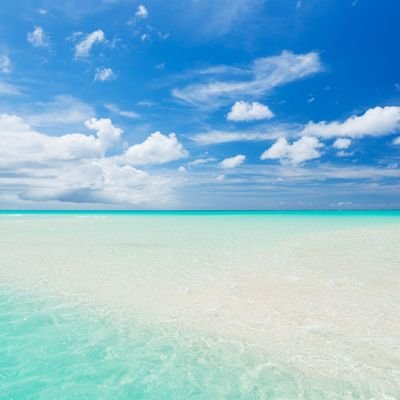 Vi5hwajit's profile picture. 