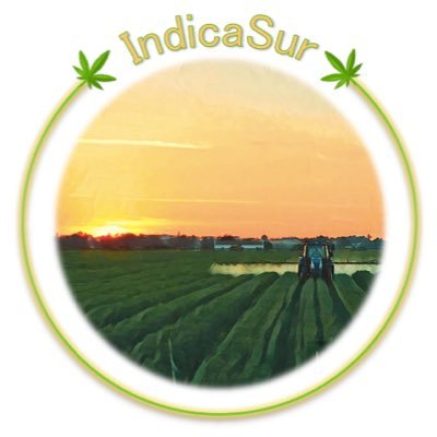 Especialistas en Cannabis Industrial. 🌱🎋🐛🪲♻️ 25 años de experiencias nos avalan. 📗🪴🧪 Agro-Industria Cannabica desde 2015. 💚🍀