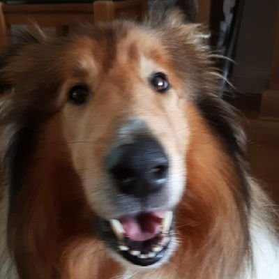 Tishtraveller's profile picture. 