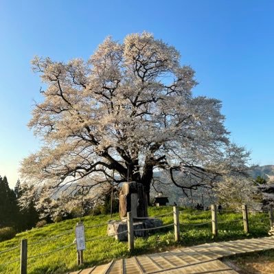 クラシック🎻とマラソン🏃‍♂️とカープ⚾️と旅行🚃とクイズ❓を こよなく愛しています😄