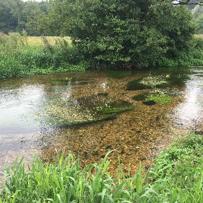 Providing #WaterSensitiveFarming advice, grants and support to farmers across East Anglia @N_Rivers_Trust. 
Looking after the land to protect our rivers.
