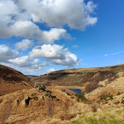 talesofmrst's profile picture. Director of Safeguarding / CLA Lead /SLT / Secondary / PGCert Leadership in School Mental Health 💛
Mum of 2 ❤️