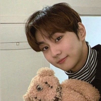 stan acc for #정원 | cat lover