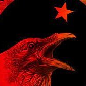 RedKhal's profile picture. Venezuela el mejor país del mundo ! Somos Bolivarianos ! somos 
Chavistas Carajo