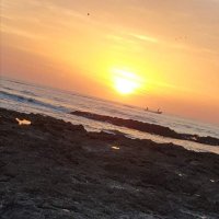 khalid (@khali7d__) 's Twitter Profile