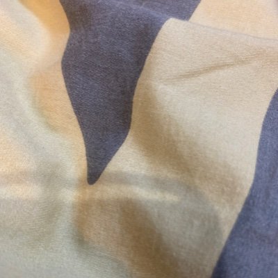 EcusFe's profile picture. 一个非常健谈的爱好者