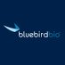 bluebird bio (@bluebirdbio) Twitter profile photo