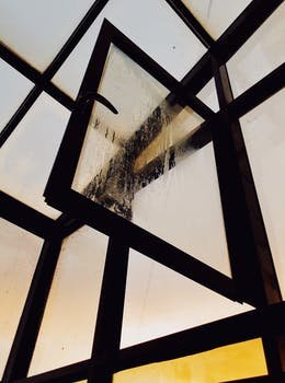 OvguUstunsoy's profile picture. 