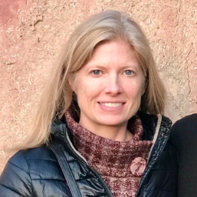 ReinschMyka's profile picture. Writer, economist, international development practitioner, worldschooling mother of three, digital nomad, amateur ballet dancer.