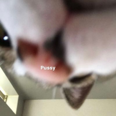 Smurf twitter account