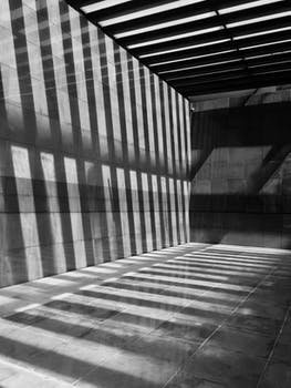 CandanKolak's profile picture. 