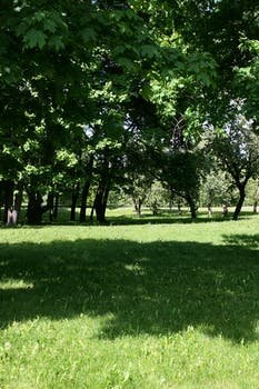 eymaBul49991095's profile picture. 