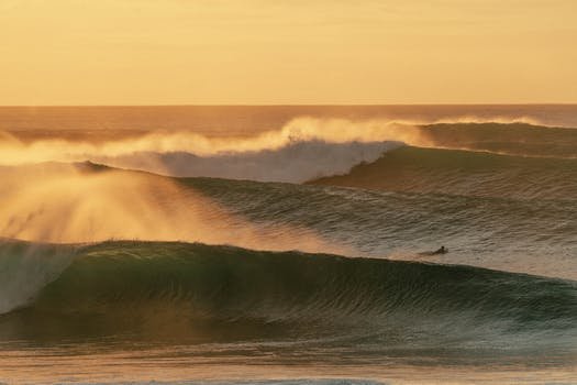 Meri03329609's profile picture. 