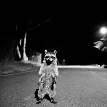 tersonel's profile picture. Ben imamım gülemem |- #sbgs.