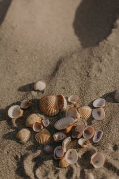 BirglHasrc1's profile picture. 