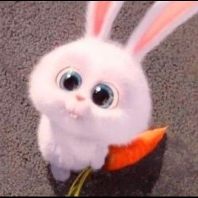 소예さんのプロフィール画像