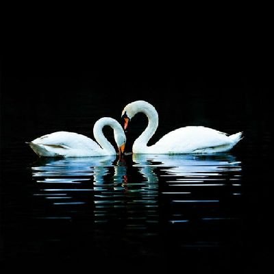 wenbin_gao's profile picture. 