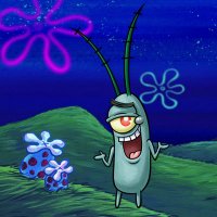 Nu2 Crypto, the God_Plankton (@sbcook1) 's Twitter Profile