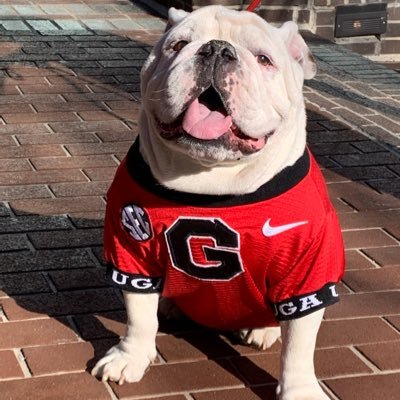 UGA, Vanderbilt. Gastroenterologist.  “ Do all the good you can, in all the ways you can, to all the people you can, as long as ever you can “ John Wesley