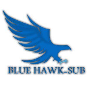 BlueHawkSub