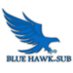 BlueHawkSub (@BlueHawkSub) Twitter profile photo