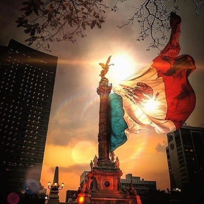 Con AMLO en la 4t desde la verdad, cero fake news.
No discuto con la oposición por que están bien pendejos y no entienden lo que no les conviene.