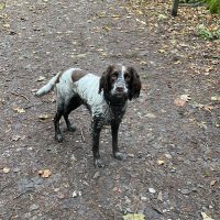 Steve Titterington (@stevepen66) 's Twitter Profile Photo Steve Titterington (@stevepen66) 's Twitter Profile Photo