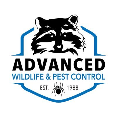 🦝 Professional Pest Control and Animal Removal 
🏠 Keep Pests Out of Your House and Business
🐭 Mice 🐞 Bugs 🐿️ Wildlife 🦇 Bats 🐦 Birds