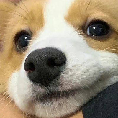 pooh95bjyx's profile picture. 