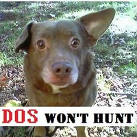 That DOS Won't Hunt (@dos_won) 's Twitter Profile Photo That DOS Won't Hunt (@dos_won) 's Twitter Profile Photo