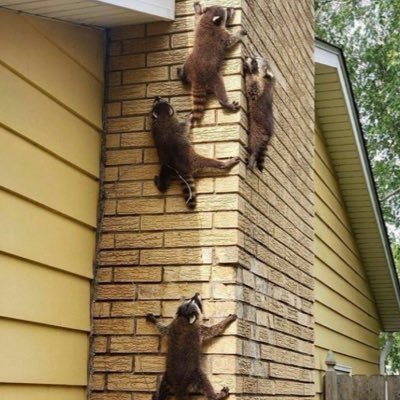 blubb_the's profile picture. Sonne tanken bis zum Vaterlandsverrat 🐢