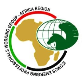 IcomosEpwgAfr's profile picture. #ICOMOS Emerging Professionals Working Group (EPWG) for the #Africa Region

Groupe de travail des professionnels émergents (GTPE) de l'#ICOMOS - Région #Afrique