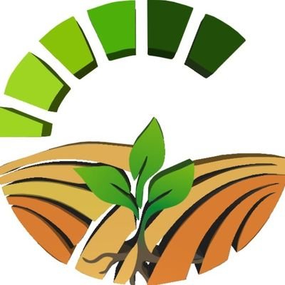 A complete ecosystem that includes the following facilities:
#V2E Activity (Dedicated concept) , #NFT Food Platform , #P2E Game