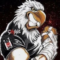 Blackeagle TALİP AKDEMİR(@benwolfeagle) 's Twitter Profile Photo