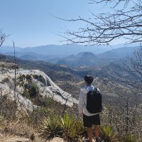 Ben Lai (@zendryn) 's Twitter Profile