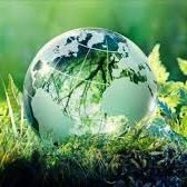 منصة البيئة (@environment_net) 's Twitter Profile