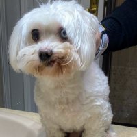 ana maria moracho (@anamoracho) 's Twitter Profile
