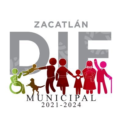 DIF Zacatlán Profile