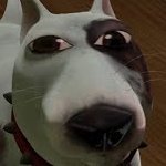 MaskedHeiro's profile picture. fell in the rabbit hole