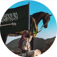 سليمان المهوس 🇸🇦⚔️🇸🇦 🍥 (@f14commander) 's Twitter Profile