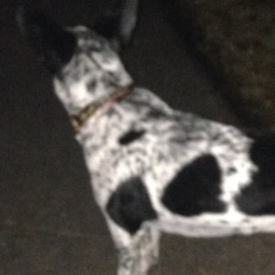 JohnYoule8's profile picture. 