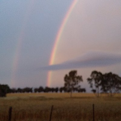 Tridmo's profile picture. 