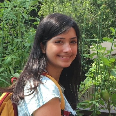 niksigurds's profile picture. research scientist in cryptography & theoretical compsci
Be amenable to the truth.