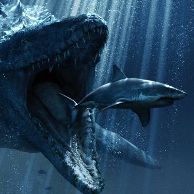 VRaptor8X8's profile picture. 