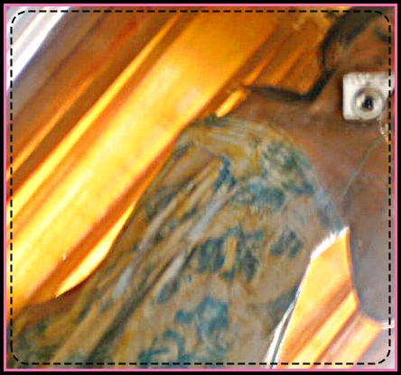 Aquelaa gatoraa qq. sonhaa coom oo homeem perfeiito ee qq. tbm teem seeus defeiitos. (:
