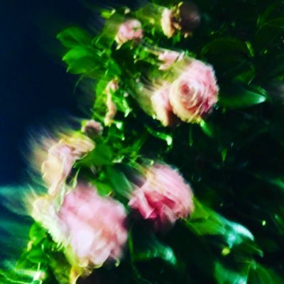 KoishiMiki's profile picture. 株式会社クラインシュタイン (KLEINSTEIN)  / 南青山4丁目、根津美術館至近にショップ「STEIN BOX」運営 | https://t.co/zESNC4z6xs ∉ | https://t.co/qyTdsV0oTc | https://t.co/ClXHCLDnDc Etc. | プロフィールはView more さらに表示をクリック